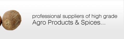 Sharad Enterprises