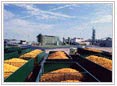 food Processing Machinery