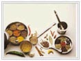 Indian spices